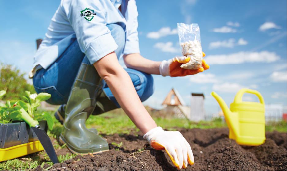 RCSEG segurança e serviços de jardinagem empresarial e residencial