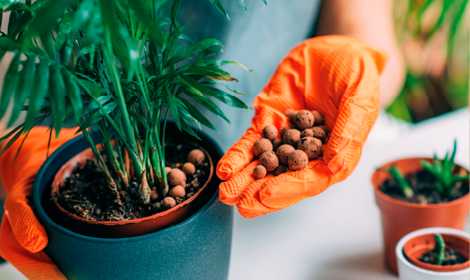 RCSEG segurança e serviços de jardinagem empresarial e residencial